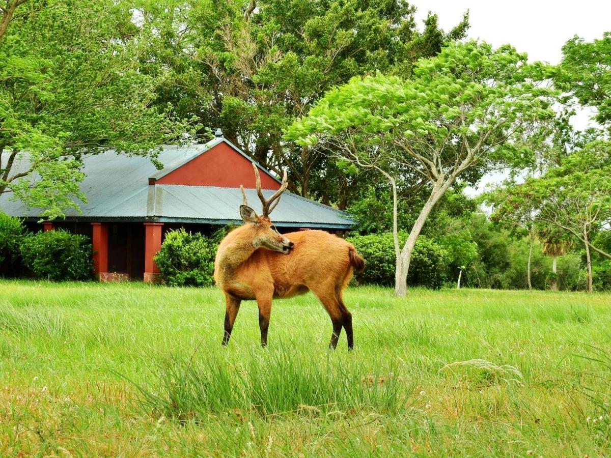Estancia Ibera Колония-Карлос-Пеллегрини Экстерьер фото